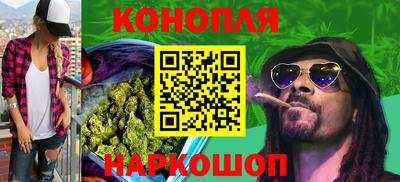 индика Будённовск